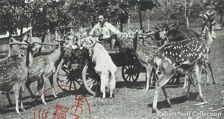 Yuri Yankovsky at his reindeer stud farm in his estate Novina