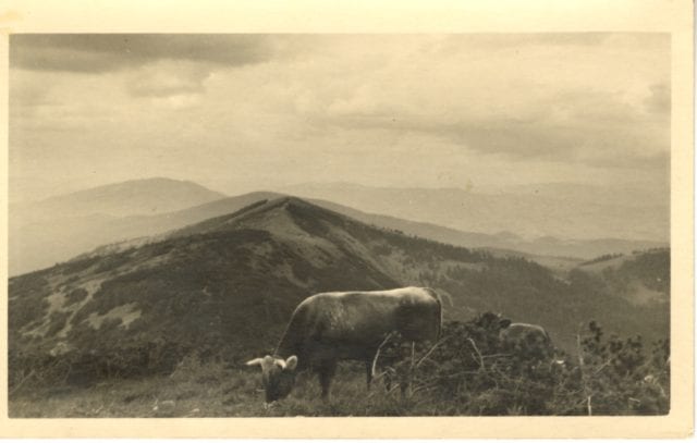 St. Job of Pochaev Monastery in Ladomirova Cow