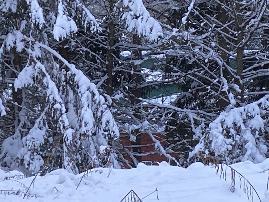 A56ABDE8-0DFD-4E8E-96BB-5B6D3E9421FD_1_105_c